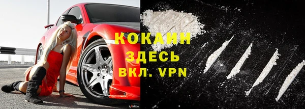 МДПВ Михайлов