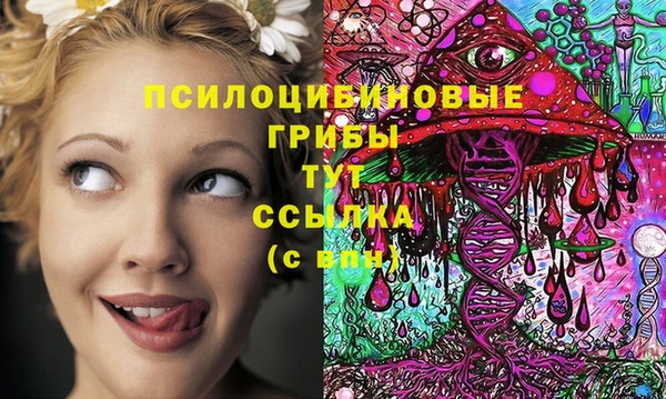 МДПВ Михайлов