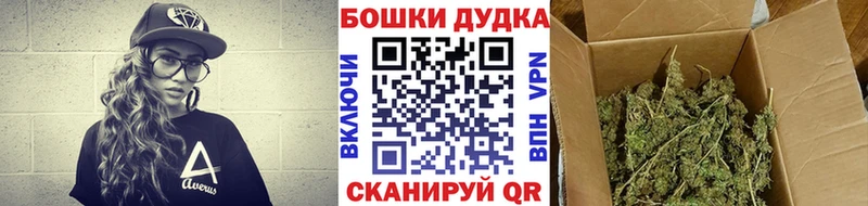 Канабис Amnesia  Купить где  Хилок 